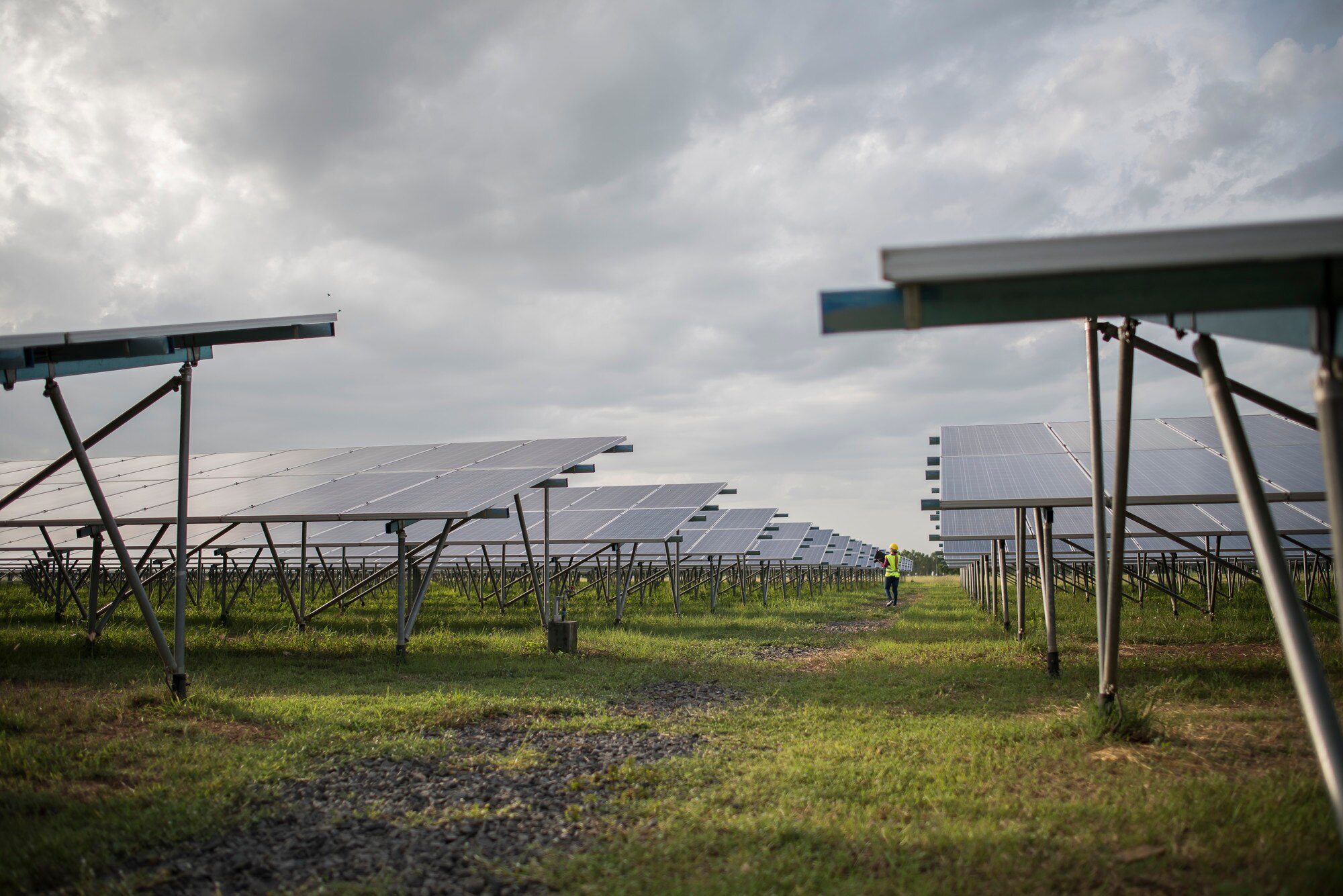 Zielona energia na przystanku. Dlaczego Polska musi wyłączać własne farmy OZE?